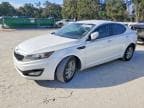 OPTIMA