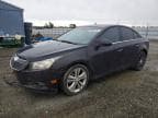 CRUZE