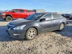 ALTIMA