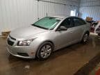 CRUZE