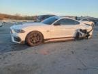 MUSTANG