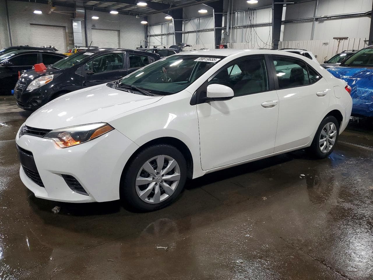 COROLLA