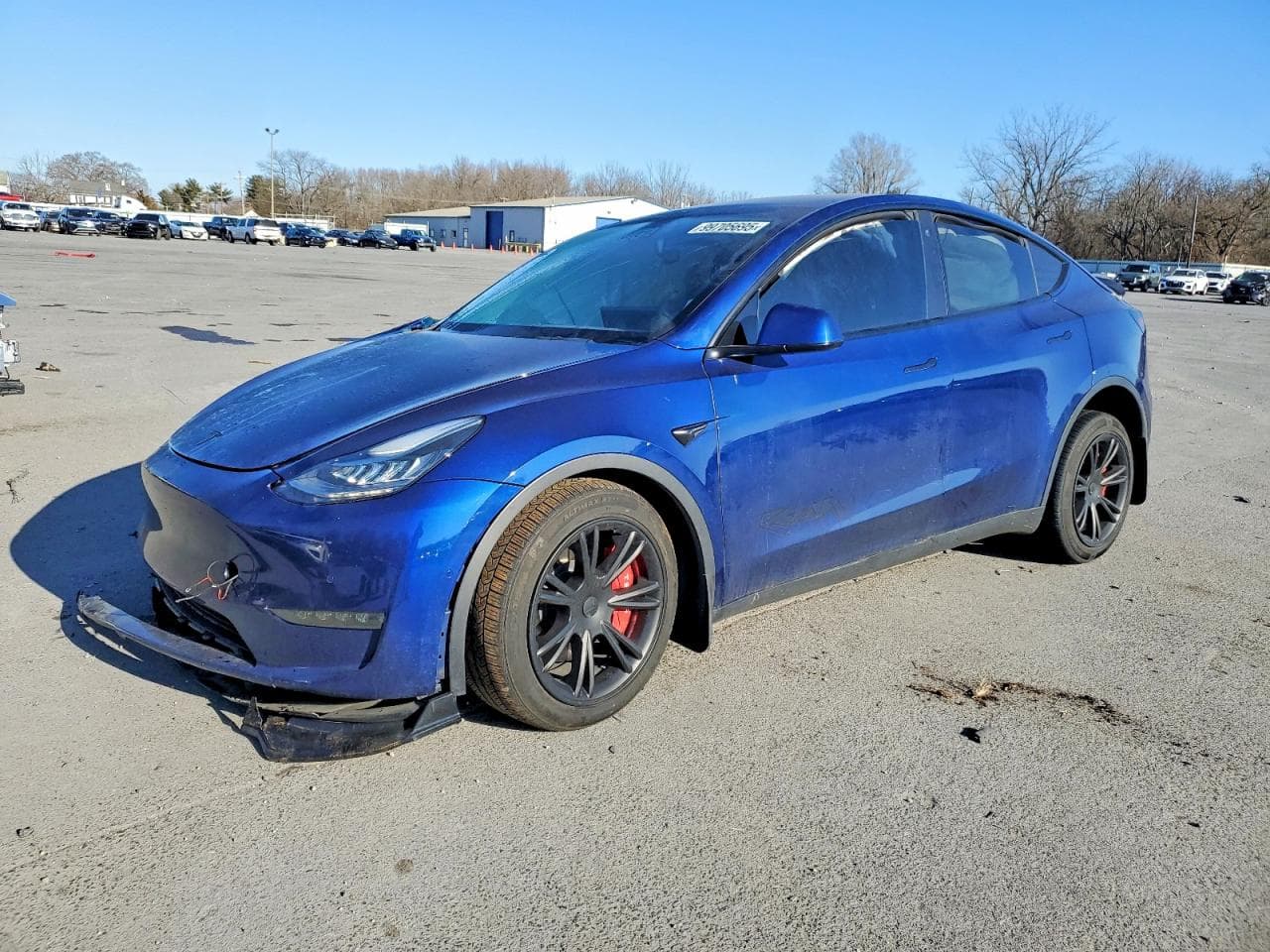 MODEL Y