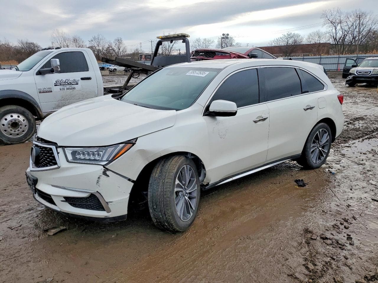 MDX