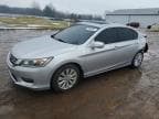 ACCORD