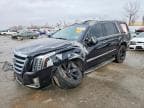 ESCALADE