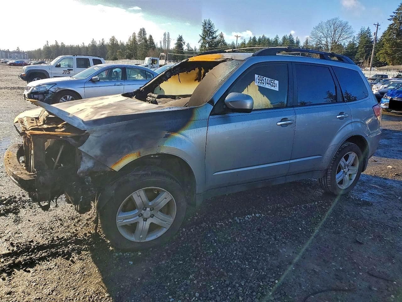 FORESTER