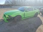 MUSTANG