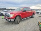 F-150