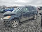 CRV