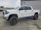 TUNDRA