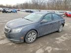 CRUZE