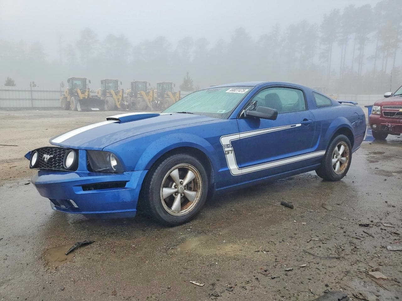 MUSTANG