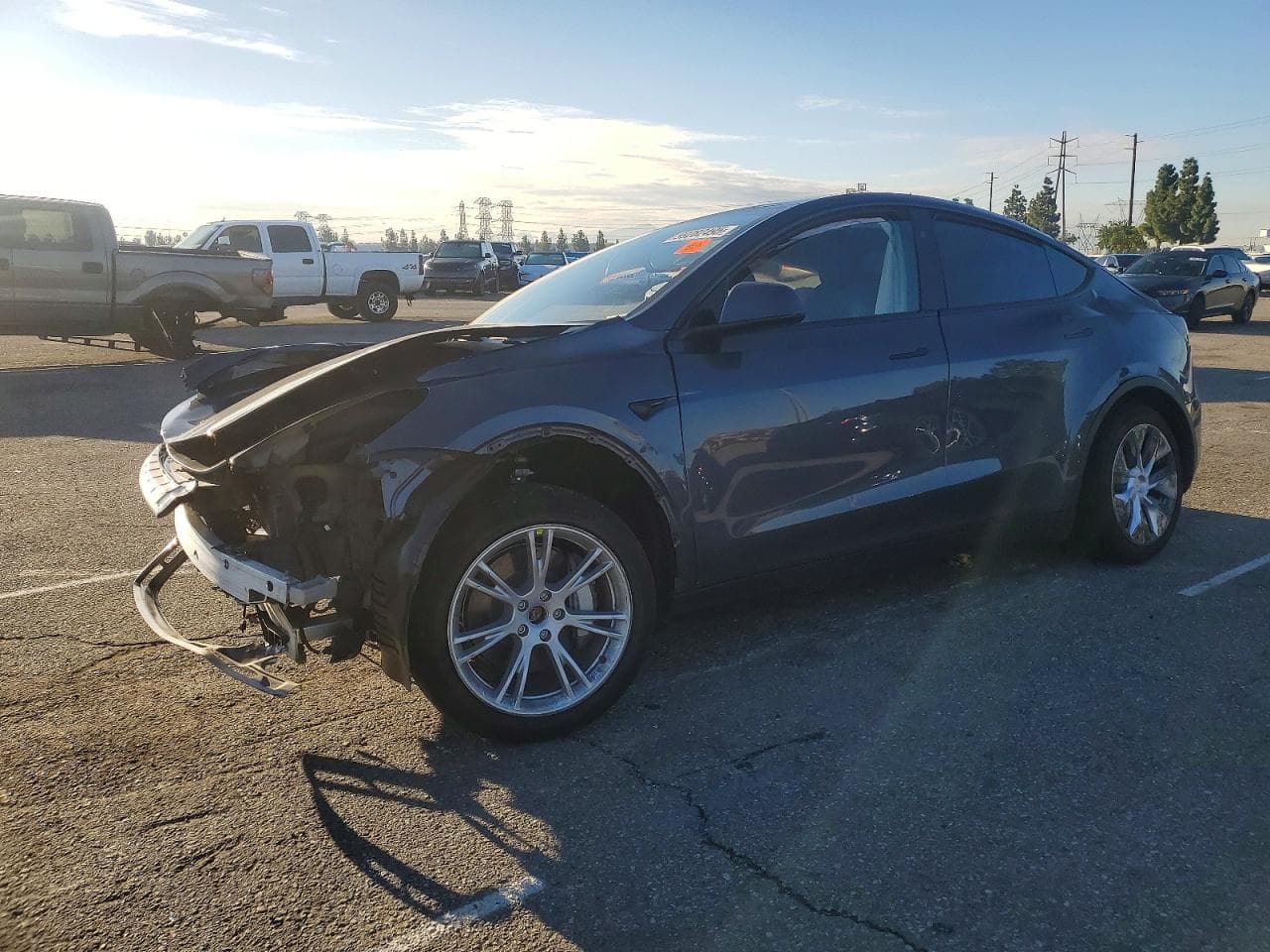 MODEL Y