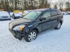 CRV