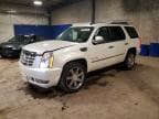 ESCALADE