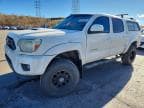 TACOMA V6