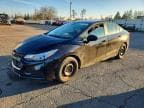 CRUZE