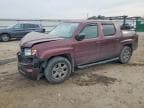 RIDGELINE