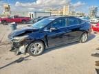 CRUZE