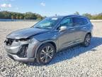 XT6 PLATIN