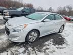 SONATA
