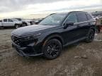 CRV