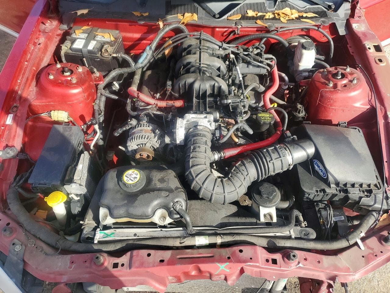 Foto 11