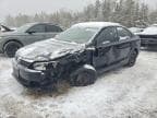 JETTA