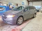 ODYSSEY EX