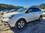 MDX
