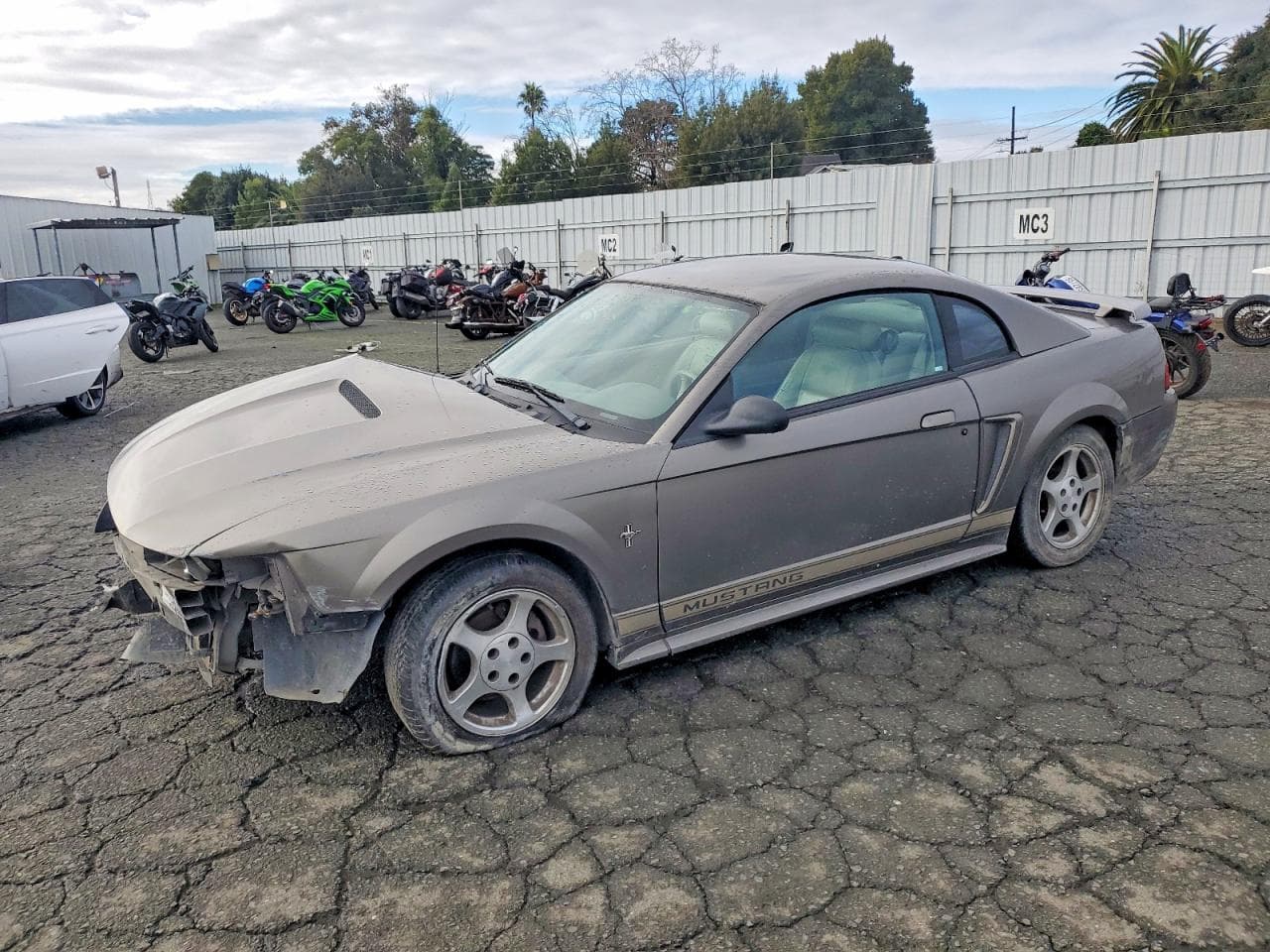 MUSTANG