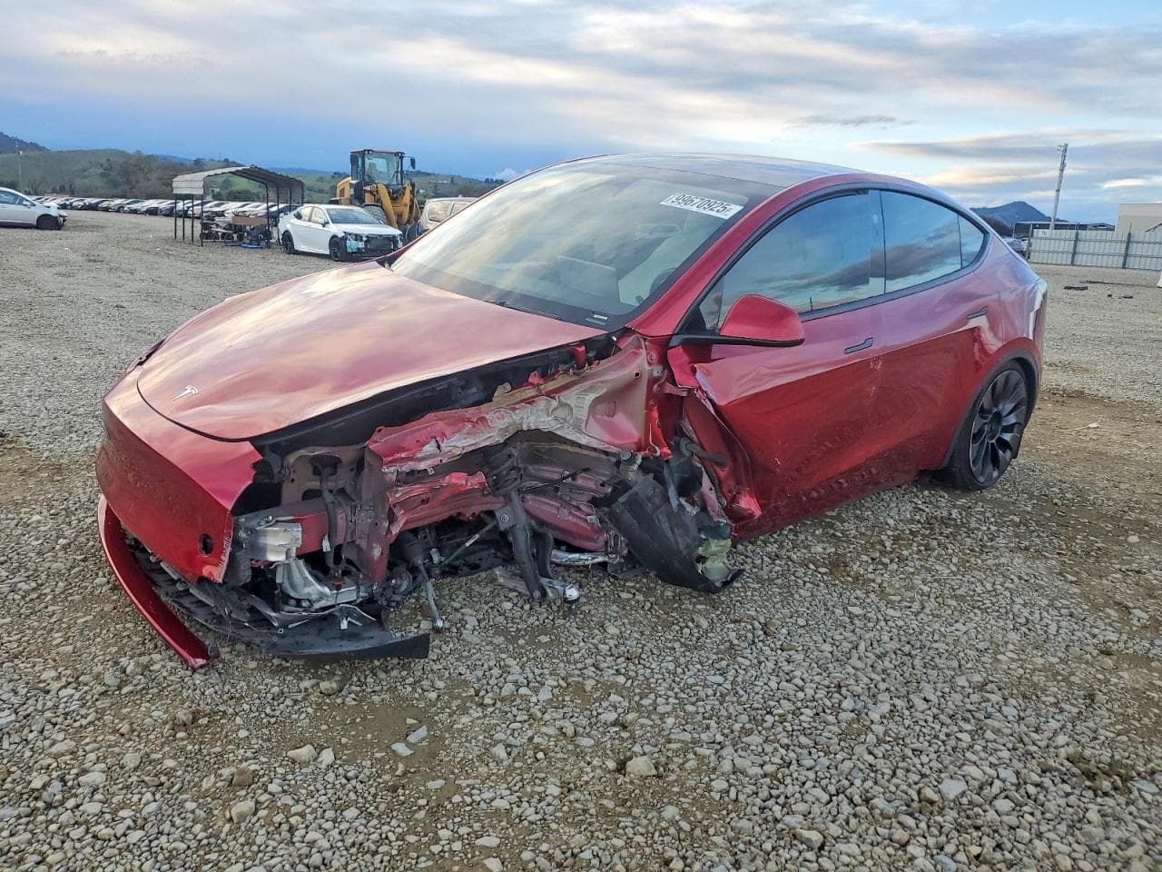 MODEL Y