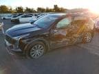 XT4