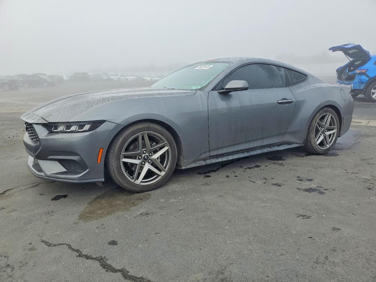 MUSTANG