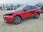 VENZA