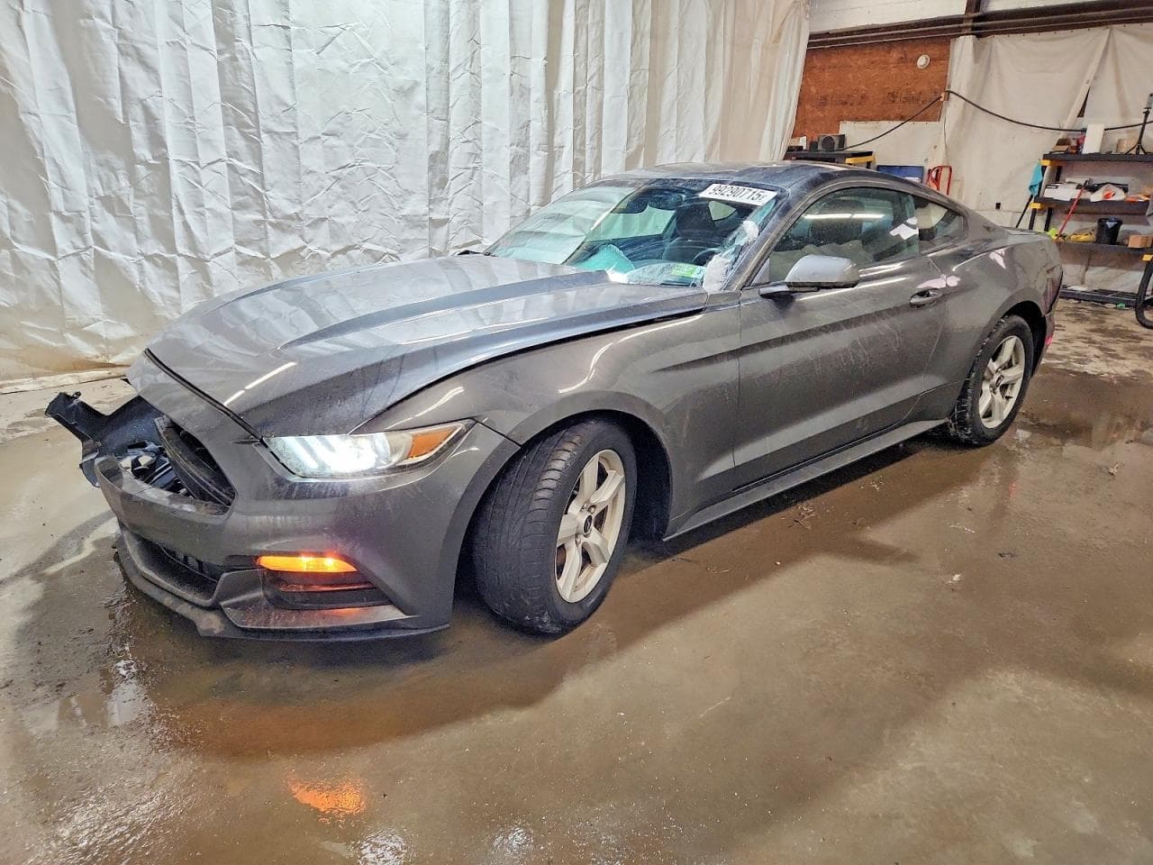 MUSTANG
