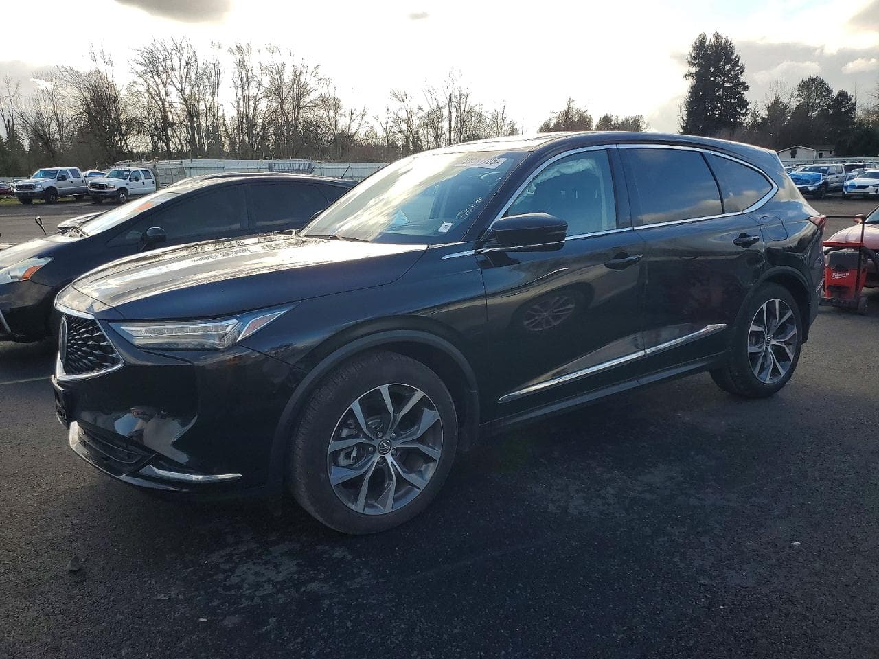 MDX