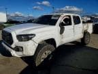 TACOMA