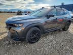 CX-50