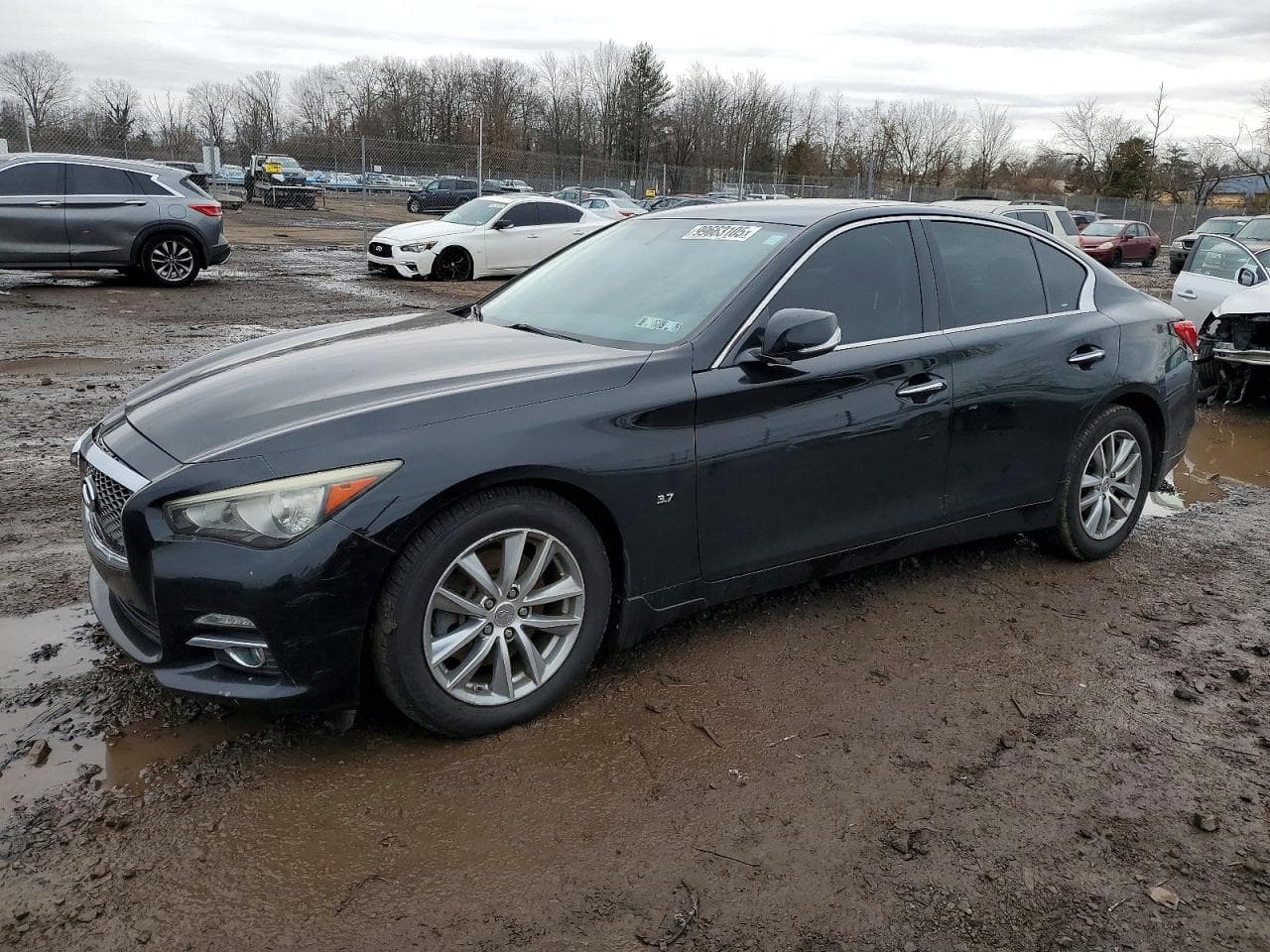 Q50