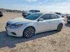 ALTIMA