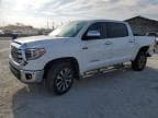 TUNDRA