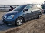 ODYSSEY EX