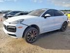 CAYENNE