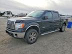 F-150