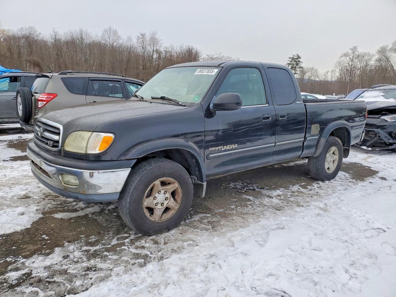 TUNDRA