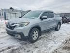 RIDGELINE
