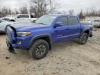 TACOMA