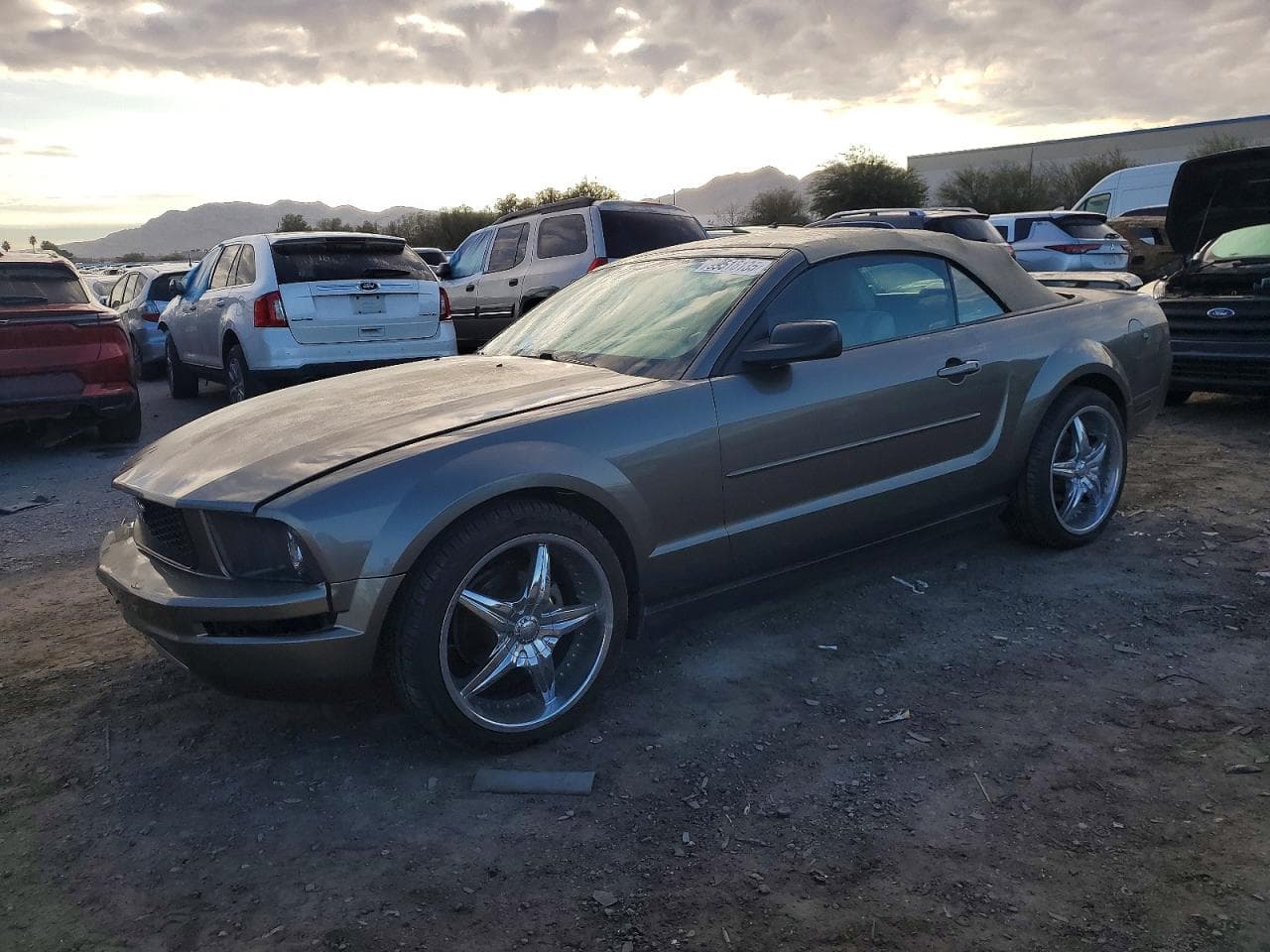 MUSTANG